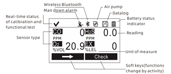 4 in 1 gas detector display
