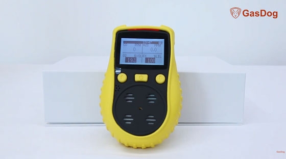 4-in-1 handheld gas detector with alarm