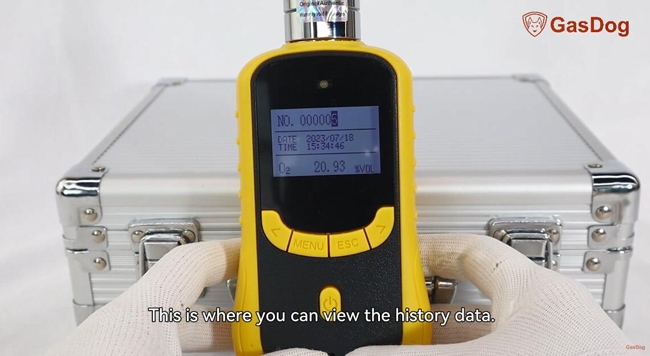Gas detector history date setting