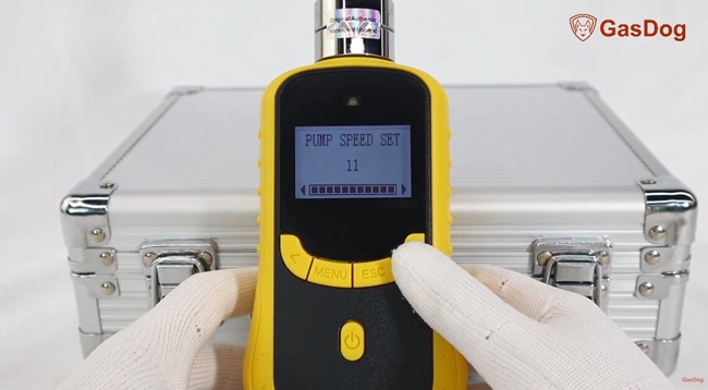 Gas detector pump speed setting