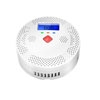 GD1000-002 Smart Carbon Monoxide Detector